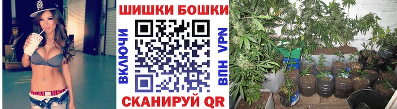 Бошки марихуана Bruce Banner купить наркотики сайты Изобильный